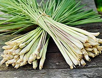 Citronelle (Lemongrass) – Martha All Natural
