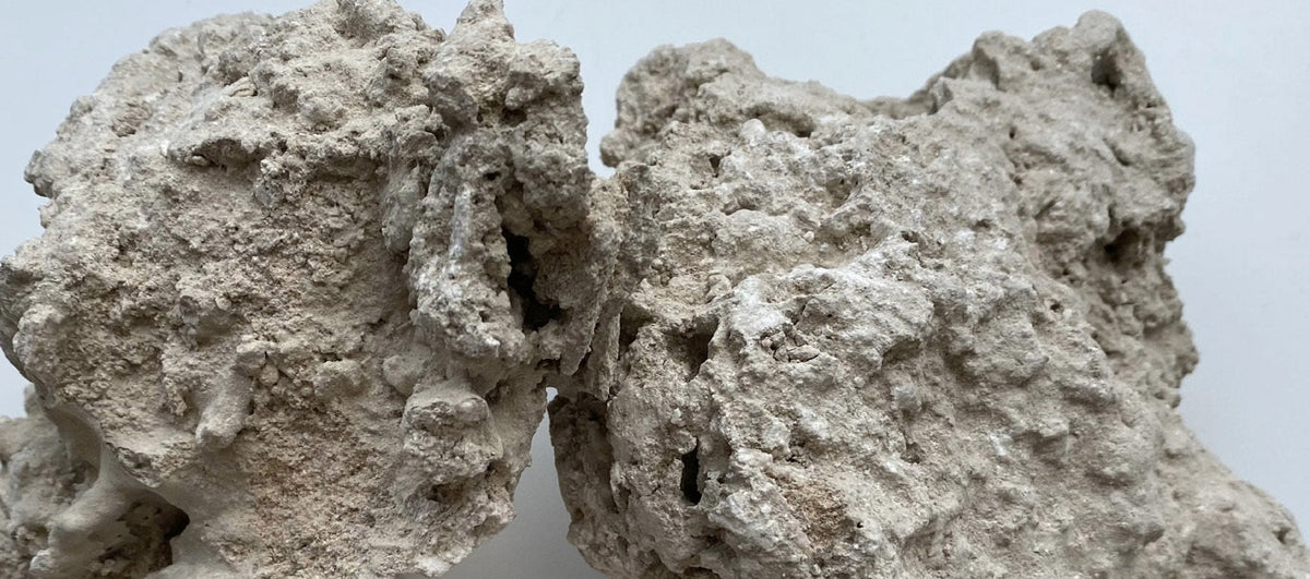 Kanwa (Edible Potash / Limestone) – Martha All Natural