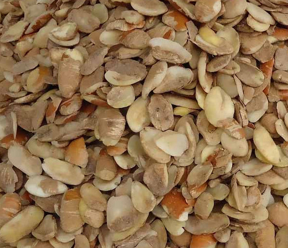 Ogbono (Bush Mango Seed) – Martha All Natural