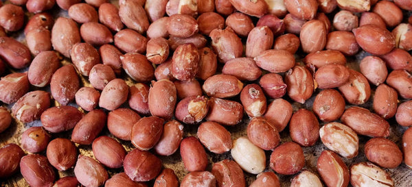 Peanuts (Groundnuts, in skin) – Martha All Natural